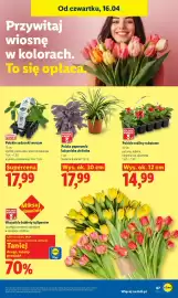 Lidl gazetka Strona 87