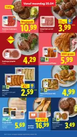 Lidl folder week 17 Pagina 13