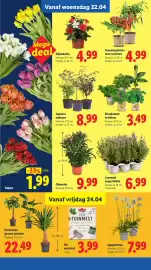 Lidl folder week 17 Pagina 23