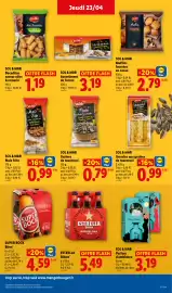 Catalogue Lidl semaine 17 page 19