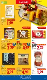 Catalogue Lidl semaine 17 page 21