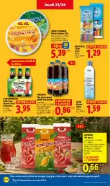 Catalogue Lidl semaine 17 page 22