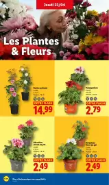 Catalogue Lidl semaine 17 page 26