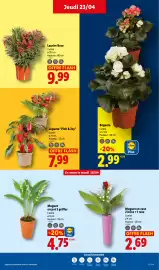 Catalogue Lidl semaine 17 page 27