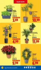Catalogue Lidl semaine 17 page 28