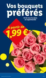 Catalogue Lidl semaine 17 page 29