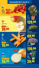 Lidl leták Strana 11