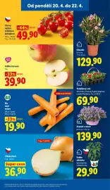 Lidl leták Strana 9