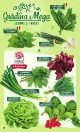 Catalog Mega Image săptămâna 16 Pagină 10