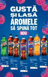 Catalog Selgros Pagină 16