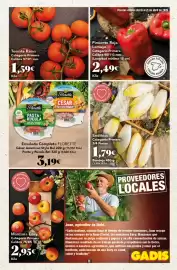 Folleto Gadis semana 16 Página 11