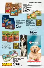 Folleto Gadis semana 16 Página 40