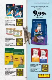 Folleto Gadis semana 16 Página 41