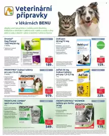 Benu leták Strana 22