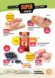 Terno leták Strana 1