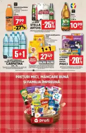 Catalog PROFI Pagină 4