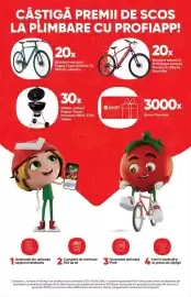 Catalog PROFI Pagină 6