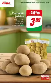 Dino gazetka tydzień 16 Strona 3