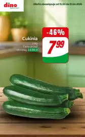 Dino gazetka tydzień 16 Strona 6