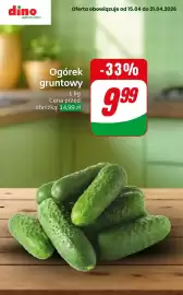 Dino gazetka tydzień 16 Strona 8