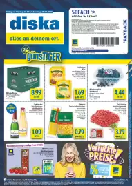 Diska Prospekt woche 17 Seite 1
