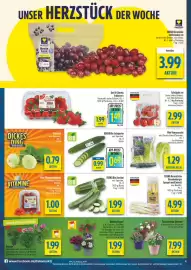 Diska Prospekt woche 17 Seite 4