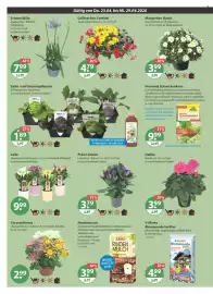 V Markt Prospekt woche 17 Seite 22