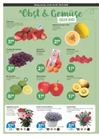 V Markt Prospekt woche 17 Seite 4