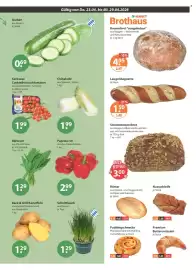 V Markt Prospekt woche 17 Seite 5