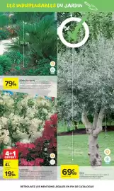 Catalogue Carrefour Market | Profitez des beaux jours ! page 5