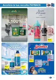 Volantino Carrefour | Punti Sprint Payback Pagina 13