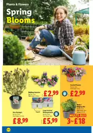 Lidl leaflet week 17 Page 20