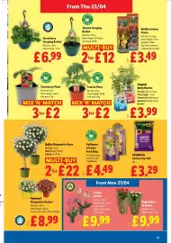 Lidl leaflet week 17 Page 21