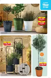 Aldi leaflet Page 9