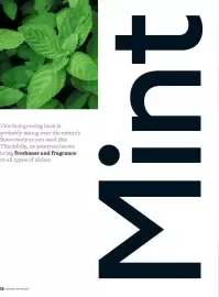 Waitrose catalogue Page 48