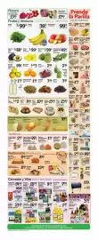 Fiesta Mart weekly ad week 16 Page 4