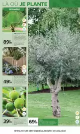 Catalogue Carrefour Drive page 9