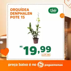 Catálogo Supermercados Pague Menos Página 5