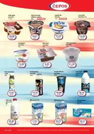 ČEPOS leták Strana 2
