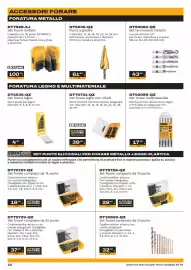 Volantino Dewalt Pagina 22