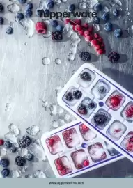 Catalogue Tupperware page 4