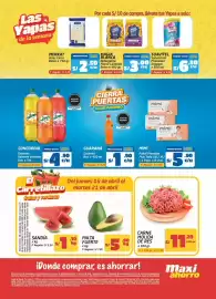 Catálogo MaxiAhorro Página 2