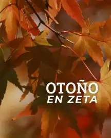 Catálogo Supermercados Zeta Página 1