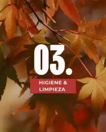 Catálogo Supermercados Zeta Página 9