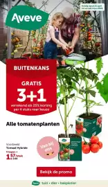 AVEVE folder Pagina 1