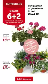 AVEVE folder Pagina 12