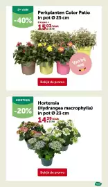 AVEVE folder Pagina 13