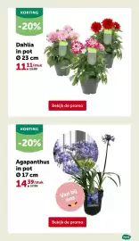 AVEVE folder Pagina 15