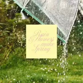 Folleto Terranova Página 3