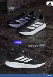 Catálogo Footloose Página 53